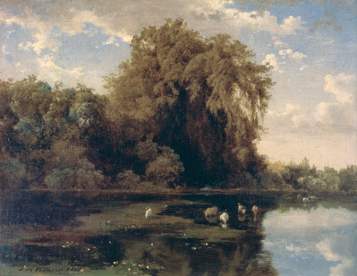 Ahuehuetes en Chapultepec, oil on canvas by José María Velasco, 1872
